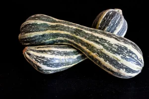 Two striped gourds rest on a black surface