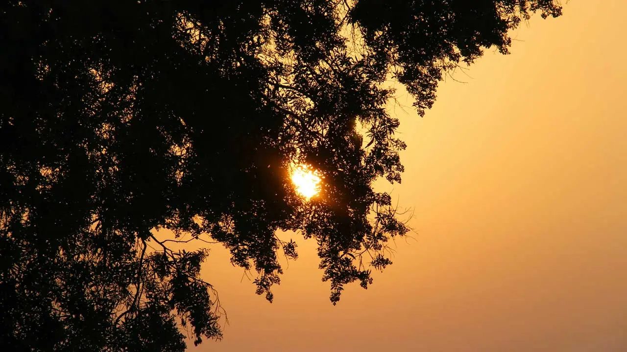 sole che tramonta